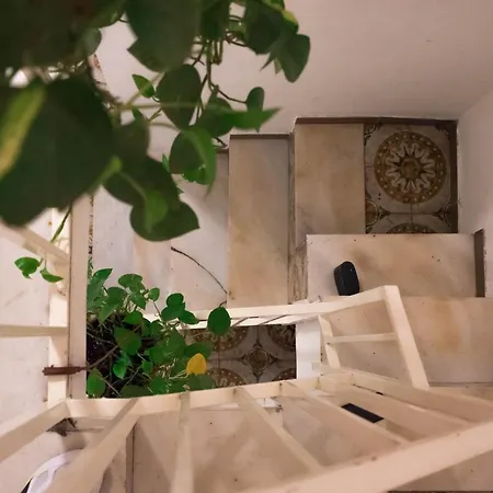 Vecchia - Spagnoli Naples