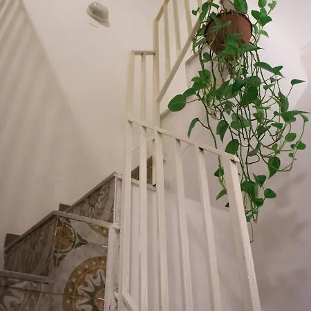 Vecchia - Spagnoli 度假居